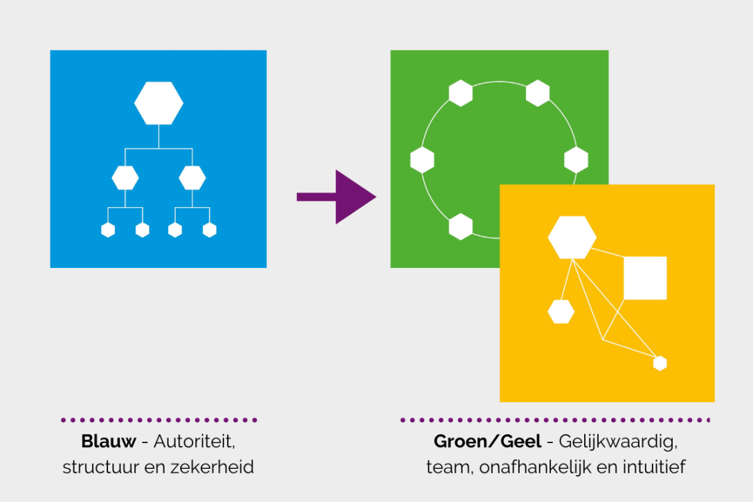 Fasen volwassenheid organisatie